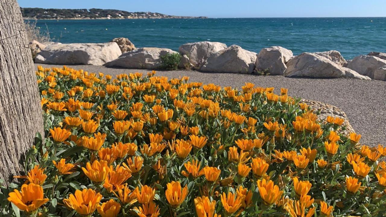 Les Appartements De La Marina Sanary-sur-Mer Eksteriør billede