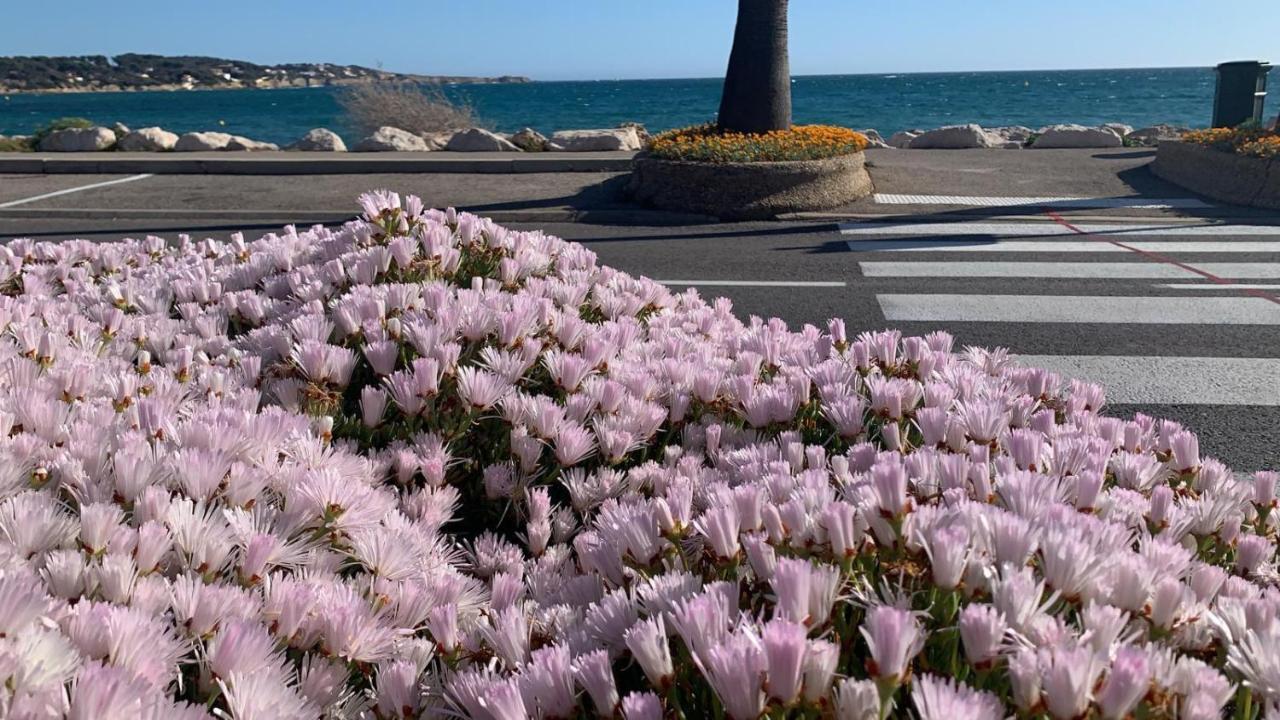 Les Appartements De La Marina Sanary-sur-Mer Eksteriør billede
