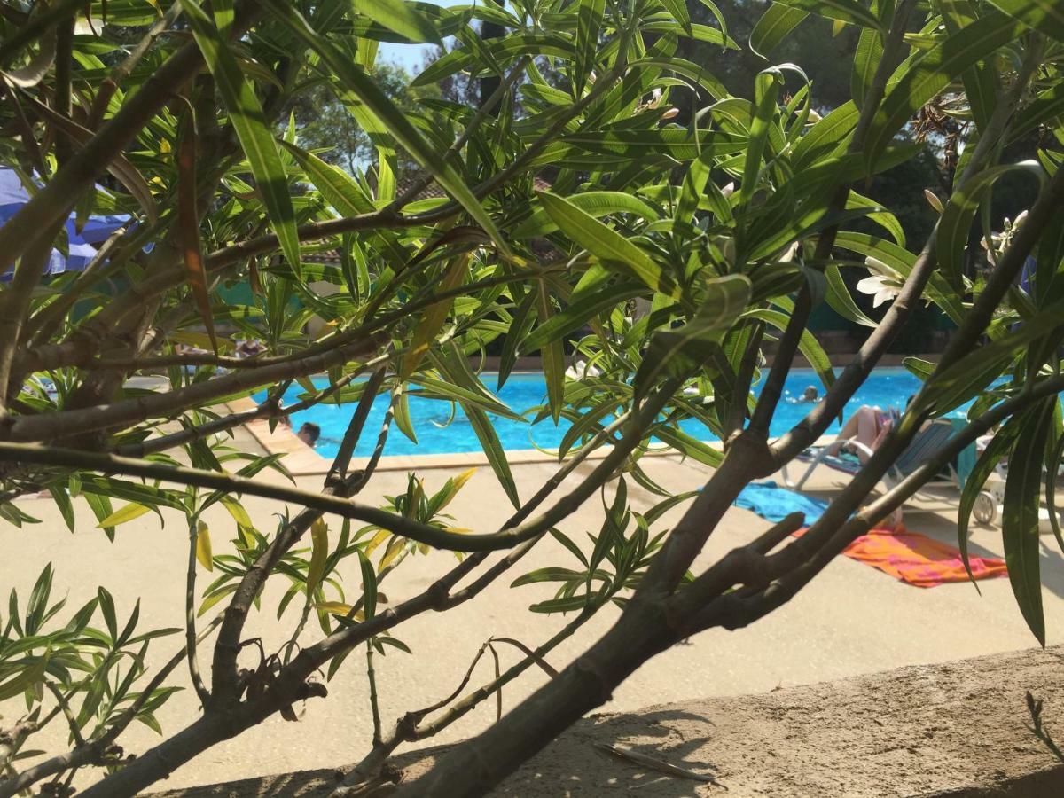 Les Appartements De La Marina Sanary-sur-Mer Eksteriør billede